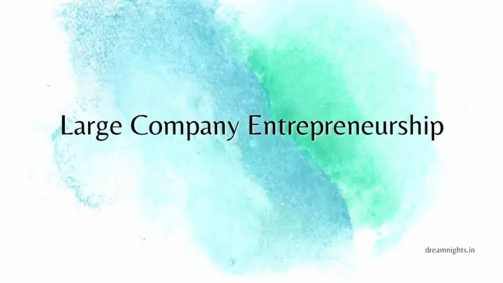 Large company entrepreneurship