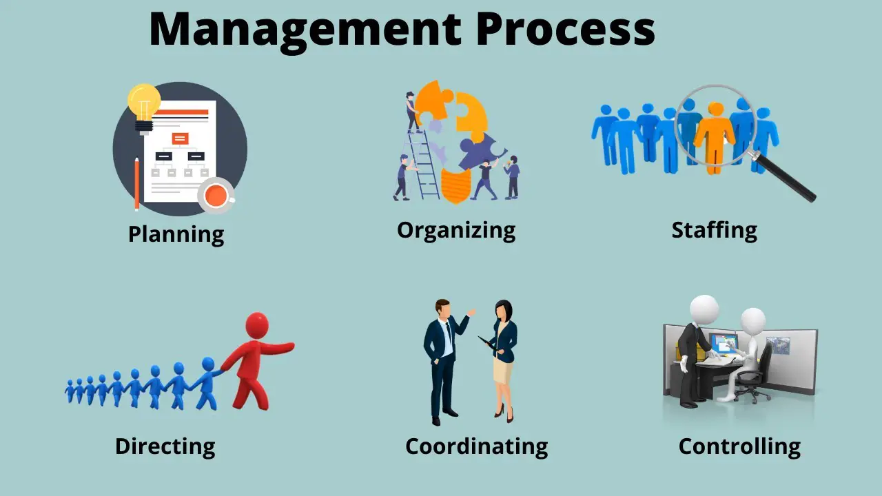 Management