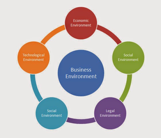 Varieties of Business Environment