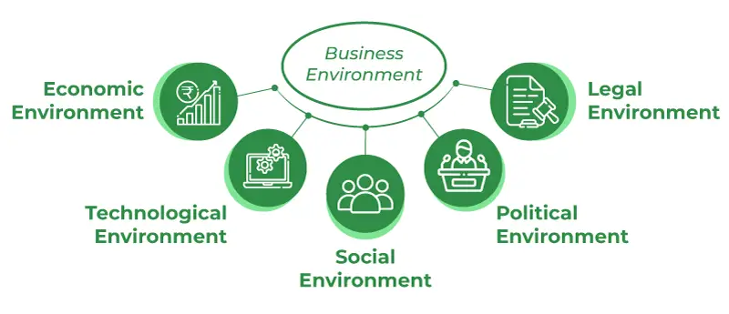 Varieties of Business Environment